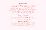 Nichole – Romantic Handwritten Font, a Script Font by Mahesans Co (Thumbnail 7 of 7)