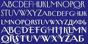 New Yorker Type Pro, a Serif Font by Wiescher-Design (Thumbnail 5 of 8)