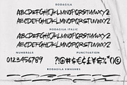 RODAGILA | Brush Font, a Font by Awanstudio (Thumbnail 8 of 9)