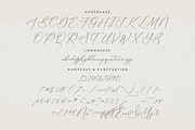Fattrios Schudnel Chic Calligraphy, a Script Font by Storytype Studio (Thumbnail 11 of 13)