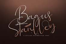 Bagus Stanlley - Stylish Script Font