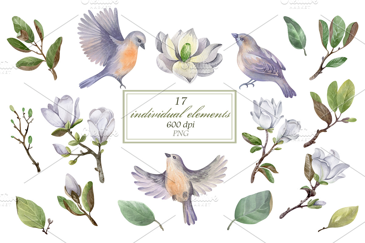 Watercolor Magnolia Flower Set, a Decorative Illustration by LenArt (Photo 2 of 18)