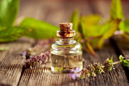 A bottle of peppermint essential oil with fresh blooming pepperm, a Health & Medical Photo by Madeleine Steinbach