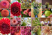 350 Photo Flower Arrangements, a Nature Photo by PopotLane (Thumbnail 5 of 8)