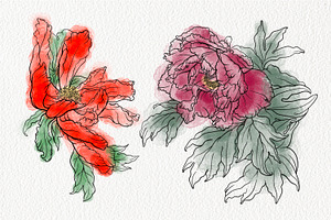 Stamp Brushes For Procreate Peonies