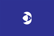 Letter B Bird Logo, a Branding & Logo Template by Abir Hossain Waffi (Thumbnail 2 of 4)