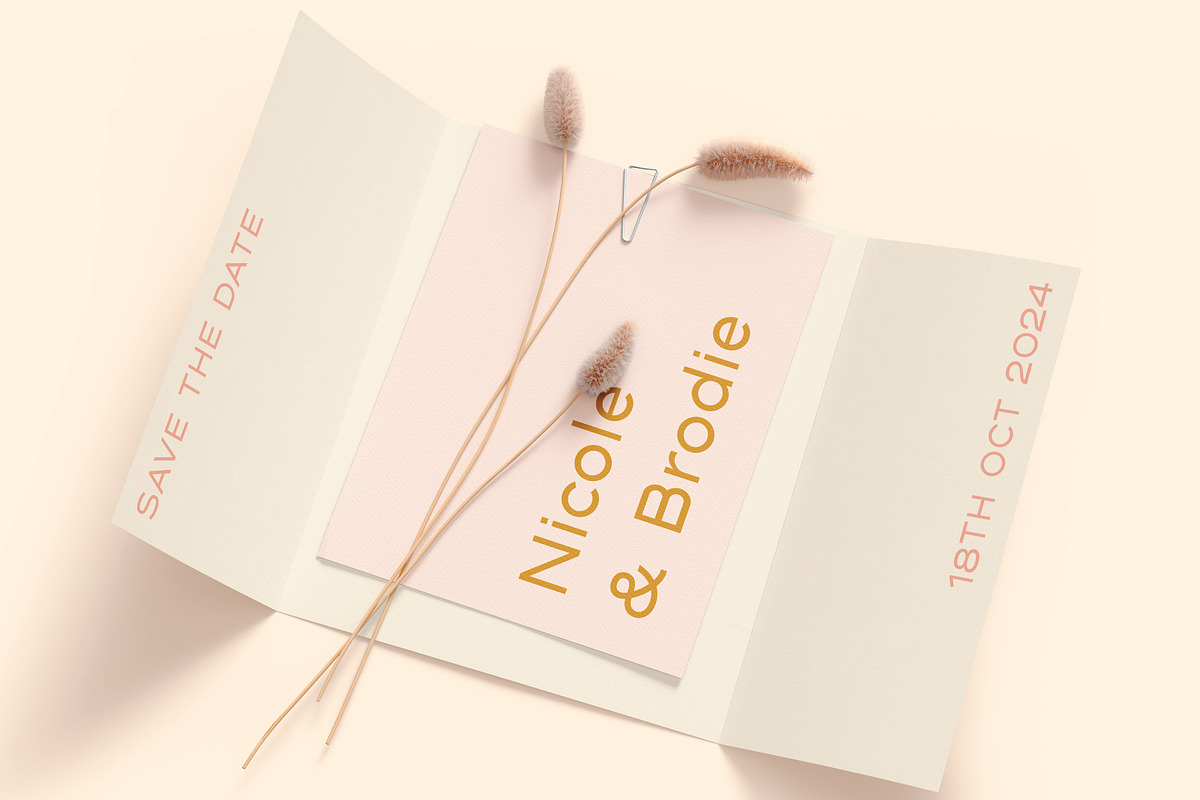 Nicole | Modern Wide San Serif Font, a Sans Serif Font by Monterey Studio (Photo 2 of 6)