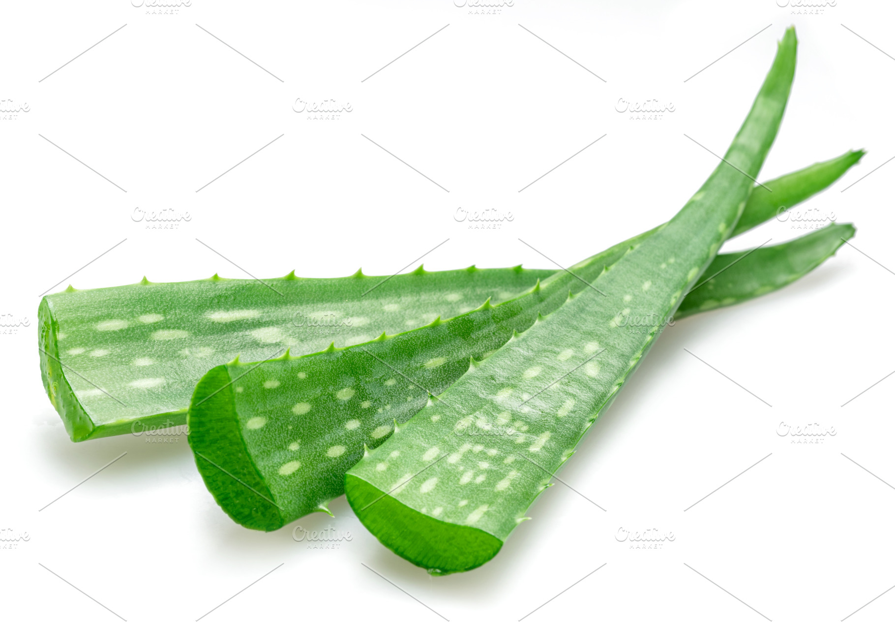 Fresh cuts of aloe Vera leaves isolated on white background., a Food & Drink Photo by Volff