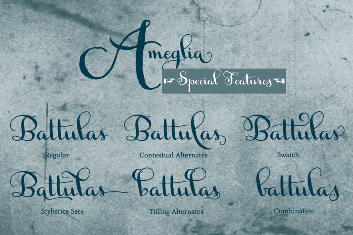 Ameglia Regular preview 5