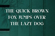 Agnista All Caps Serif Font, a Serif Font by Idea Studio (Thumbnail 7 of 12)