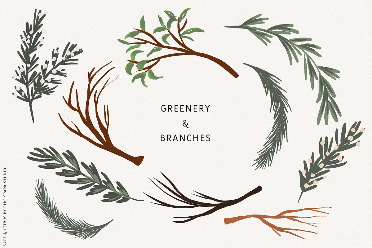Sage Green Citrus Illustrations, an Object Illustration by Fire Spark Studio (Photo 3 of 9)