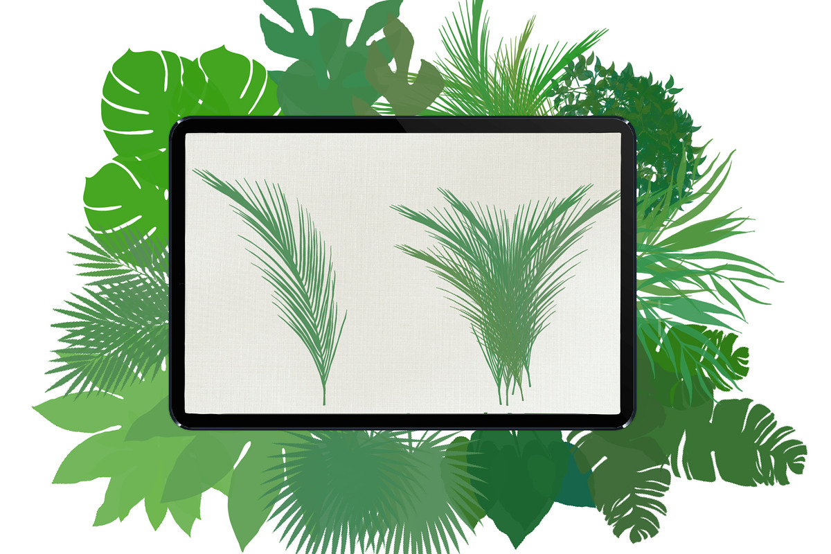 Palm leaves brushes for Procreate, a Brush Add-On by AnastasiyaOleynik (Photo 4 of 12)