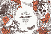 Floral Anatomy, an Illustration by adehoidar (Thumbnail 1 of 9)