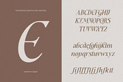 Aesthetic Essential | Modern Serif, a Serif Font by Megi Satyo Widodo (Thumbnail 19 of 22)