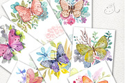 Butterflies and plants, collection, an Illustration by JaneLane (Thumbnail 4 of 5)