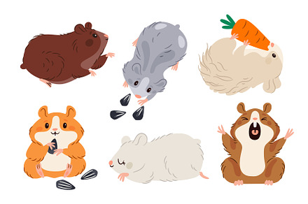 Different hamster breeds. Funny pets, an Animal Illustration by Vectorbuum