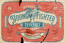Young Fighter Vintage Display