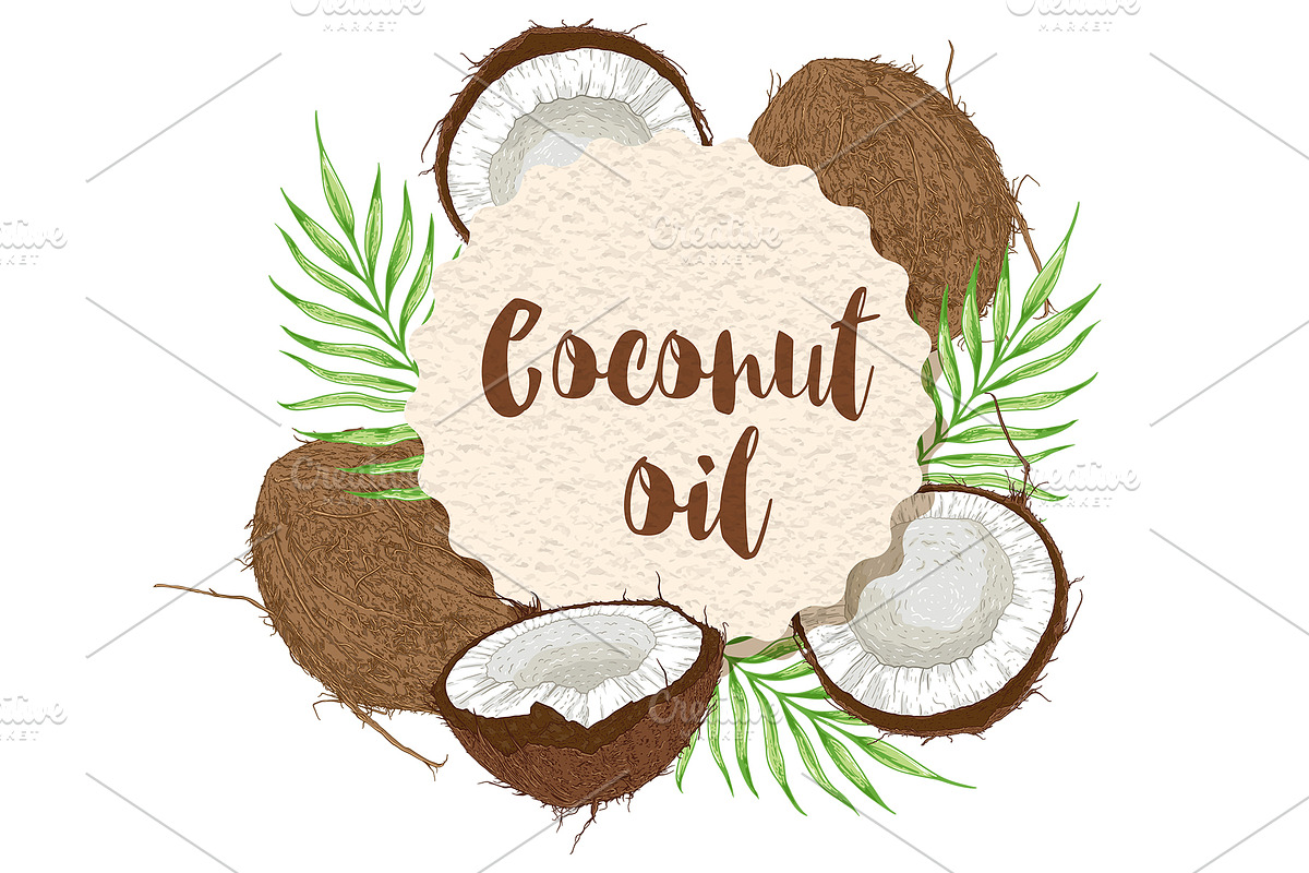 Coconut Design Kit, a Decorative Illustration by Artspace (Photo 3 of 6)