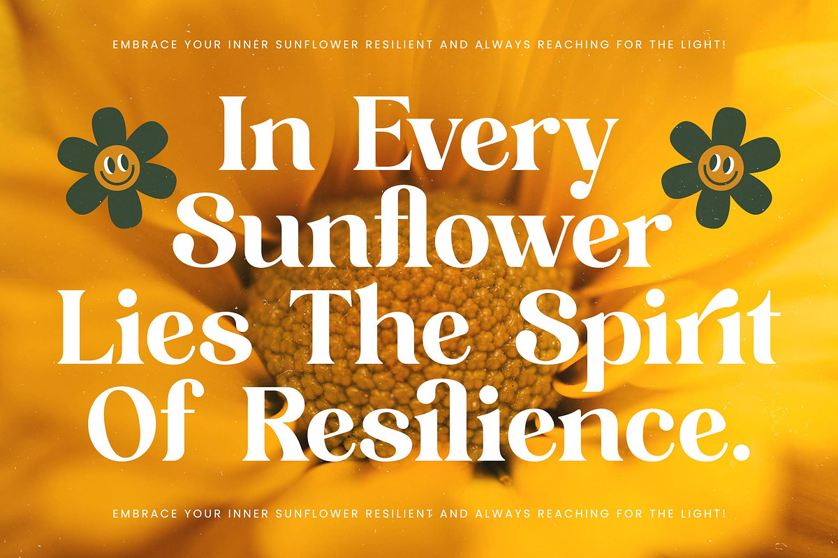 Shine Dailys Groovy Serif Font, a Serif Font by timelesstype.co (Photo 17 of 20)