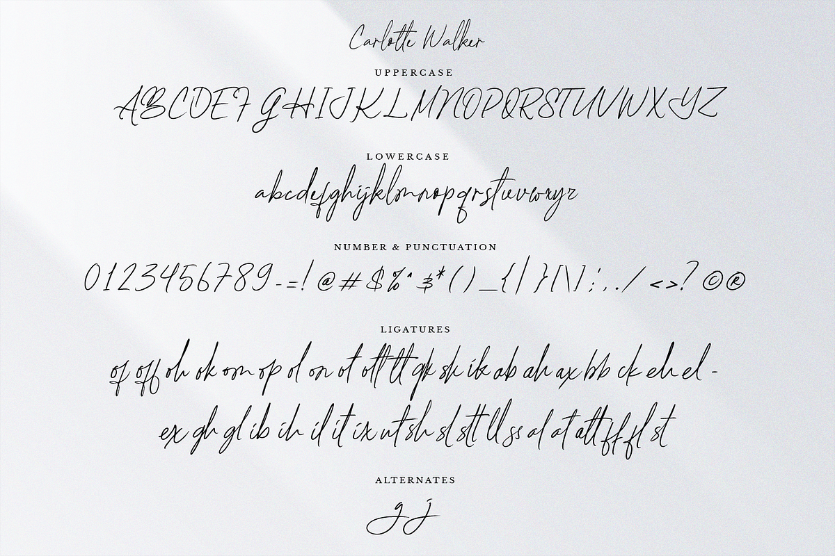 Carlotte Walker Script Business Font, a Handwritten Font by Pixesia Studio (Photo 10 of 10)