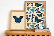 Vintage butterfly modern collection, an Animal Illustration by Beauty Drops (Thumbnail 6 of 8)