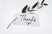 Kedsita Signature Font, a Handwritten Font by Moodtype (Thumbnail 12 of 12)