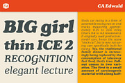 CA Edwald, a Serif Font by Cape Arcona Type Foundry (Thumbnail 4 of 10)