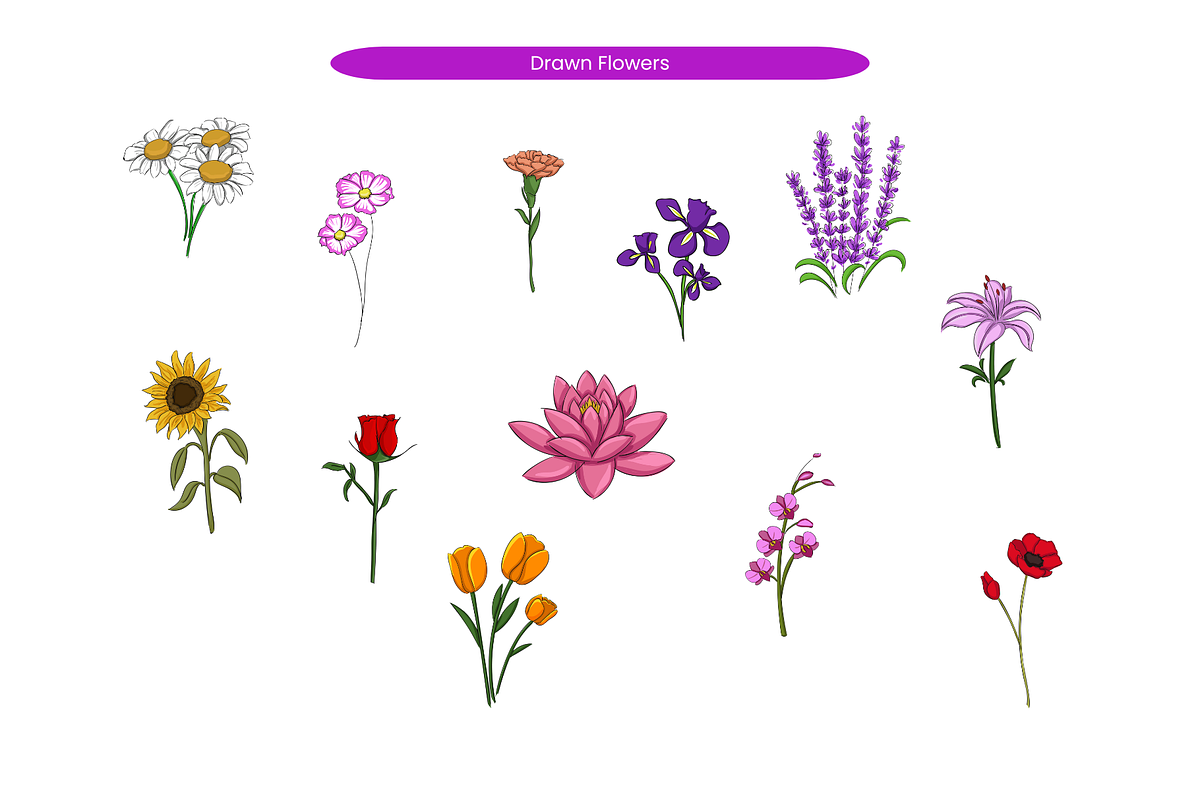 Hand Drawn Flowers, an Object Illustration by Creathub Studio (Photo 2 of 3)
