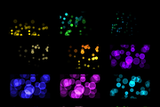 Bokeh High Quality Transparent, a Texture Graphic by AN Productions (Thumbnail 3 of 5)