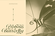 Dh Milate - 16 Beauty Elegant Family, a Serif Font by Dharmas Foundry (Thumbnail 2 of 17)