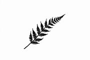 8 Fern Leaf Silhouette Bundle, an Illustration by BIPLOB EXPERT (Thumbnail 5 of 9)
