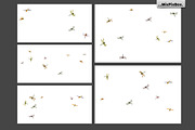 Dragonfly Photo Overlays preview 4