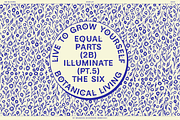 BN Blooms, a Sans Serif Font by Bnick (Thumbnail 10 of 17)