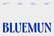 Bluemun – Timeless Serif, a Serif Font by Yukita Creative (Thumbnail 1 of 12)