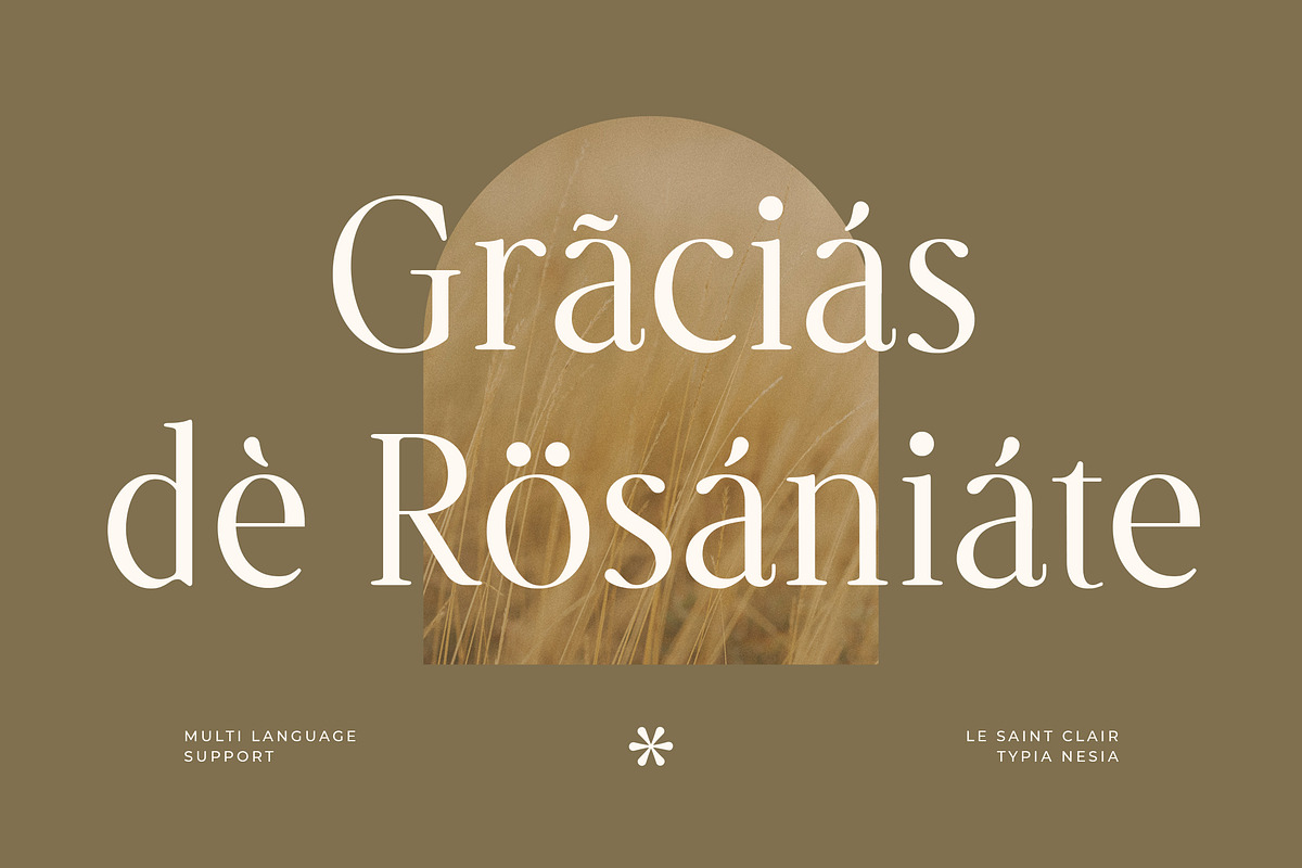 Le Saint Clair - Beauty Nostalgic, a Serif Font by Typia Nesia (Photo 3 of 12)