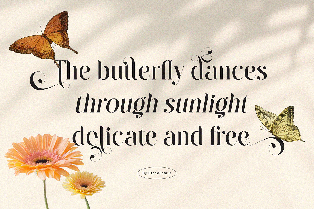 Raintop – Elegant & Stylish Serif, a Serif Font by BrandSemut (Photo 2 of 10)