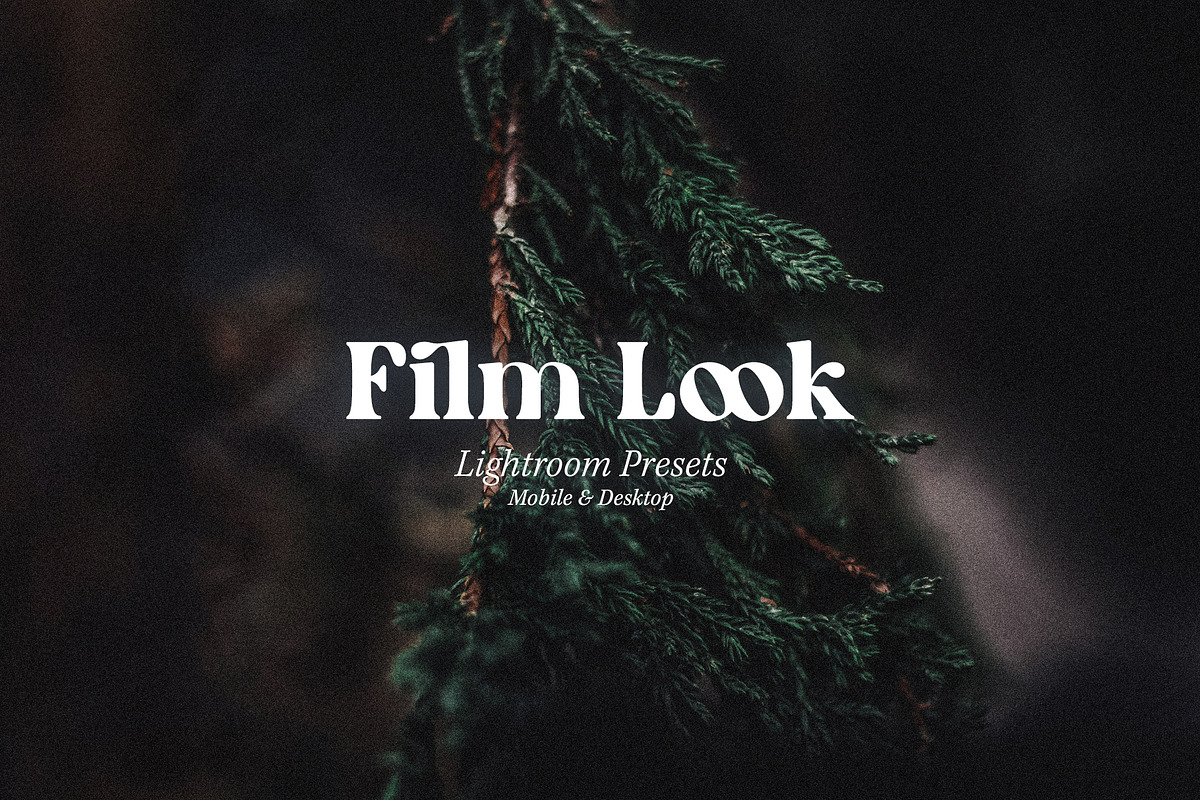 Film Look Lightroom Presets, an Action Add-On by Maple Visuals (Photo 1 of 10)