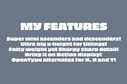 Piepie, a Font by Dharma Type (Thumbnail 3 of 4)