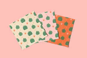 Cactus Patterns, Graphics & More