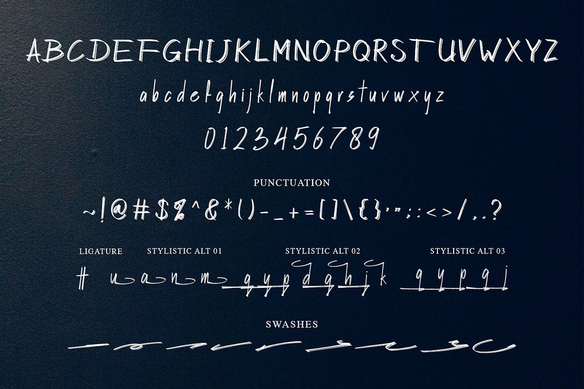 Hasley Dabrown, a Script Font by NTC Graphic (Photo 11 of 12)