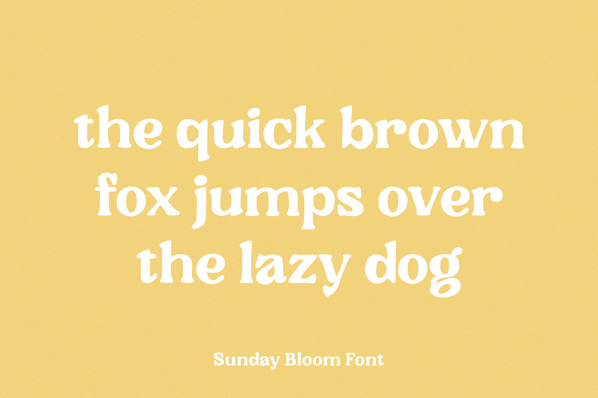 Sunday Bloom, a Serif Font by Prioritype Co (Photo 6 of 11)