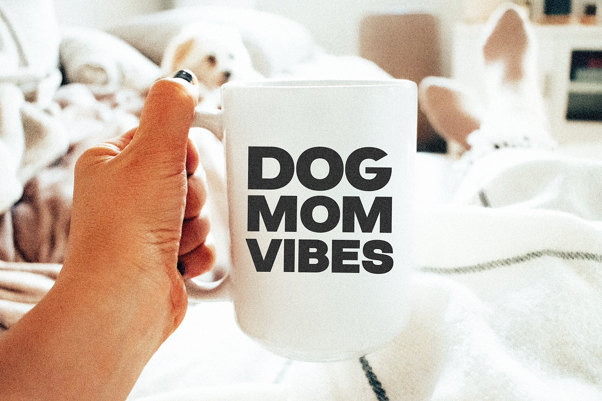 The Vibes | Bold Sans Font, a Sans Serif Font by KA Designs (Photo 12 of 13)