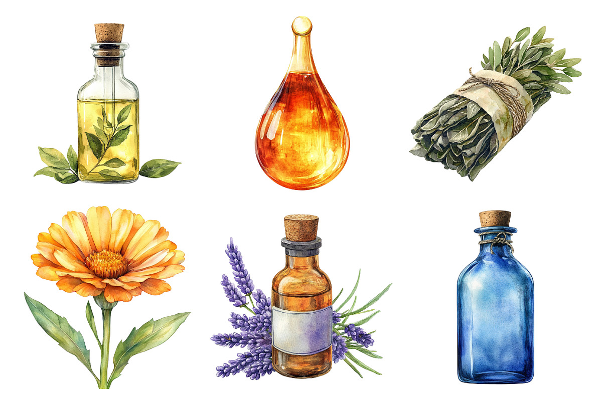 Botanical Wellness Watercolor Clipar, an Illustration by Daily.Designs (Photo 3 of 4)