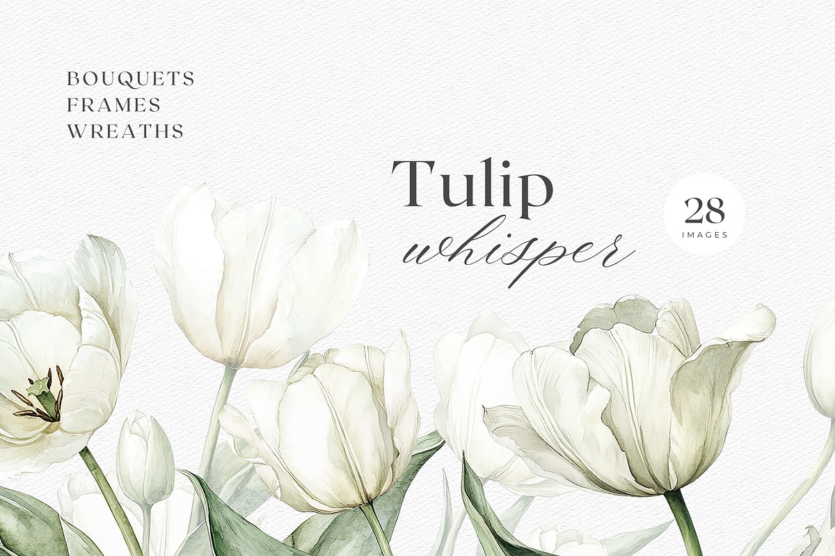 Tulip Whisper - Watercolor Clipart, an Illustration by ThaismotaCreativeCo (Photo 1 of 10)