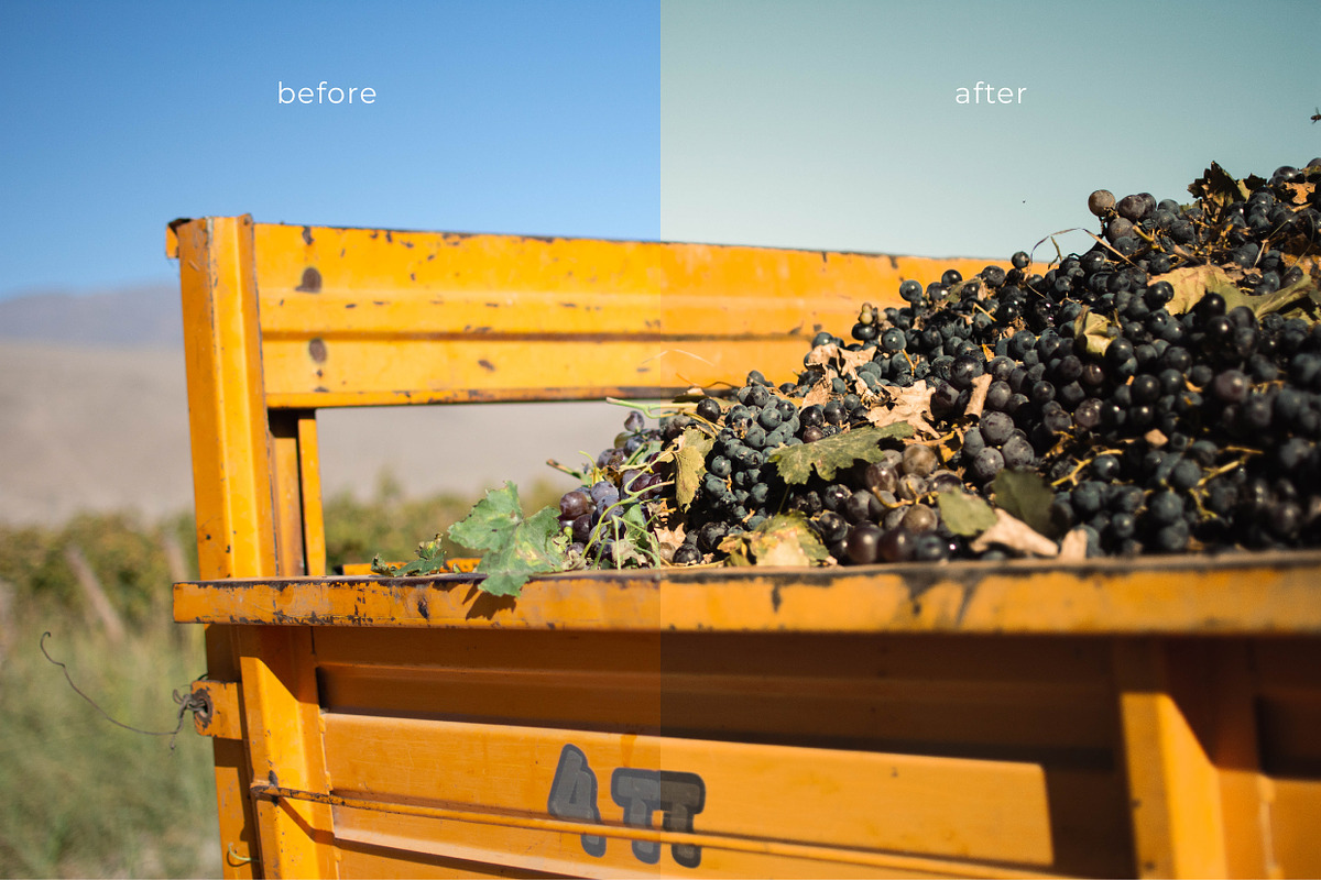 LR Presets Warm, a Preset Add-On by Emi Martinez Diana (Photo 3 of 5)