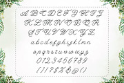 Adellisa-A true single line, a Script Font by Lemon Studio Type (Thumbnail 4 of 5)
