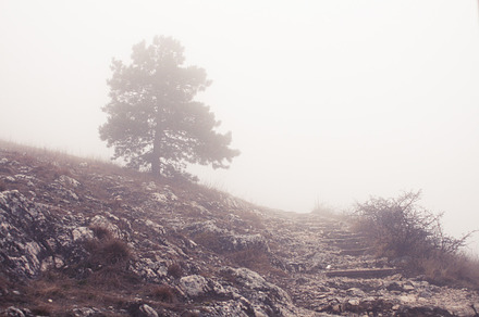 End Of The World Bench Featuring Fog Foggy And Morning preview 4