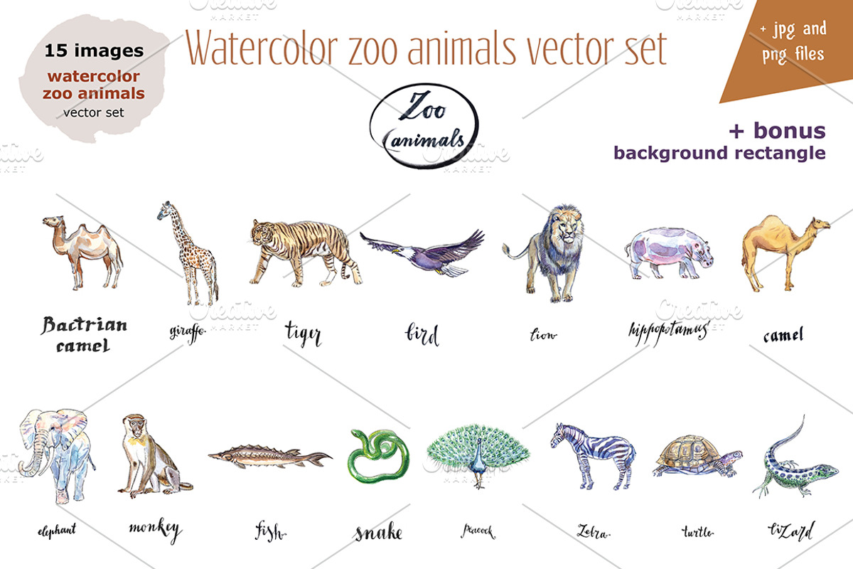 Watercolor zoo animals vector set, an Animal Illustration by miminoshka (Photo 3 of 9)