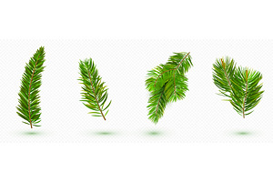 Green pine tree branches collection, an Object Illustration by art PVP - market