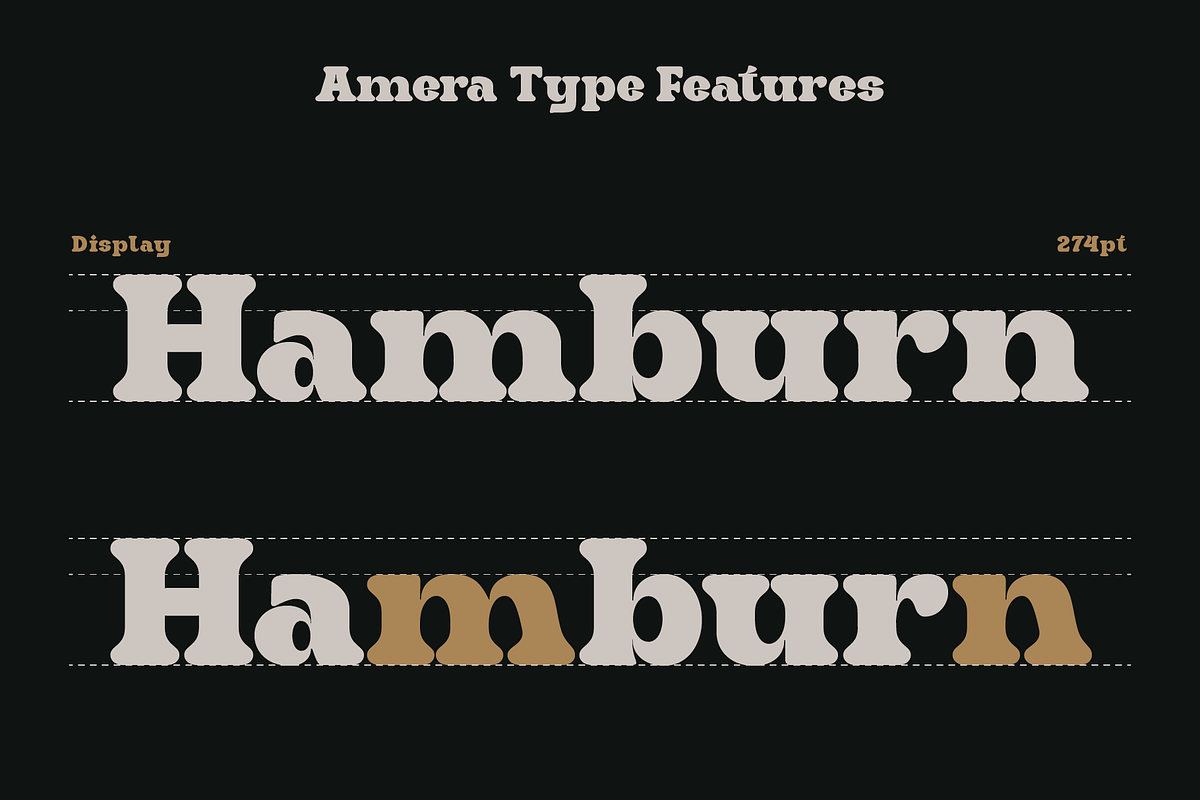 Bubley, a Slab Serif Font by Amera Type (Photo 2 of 10)